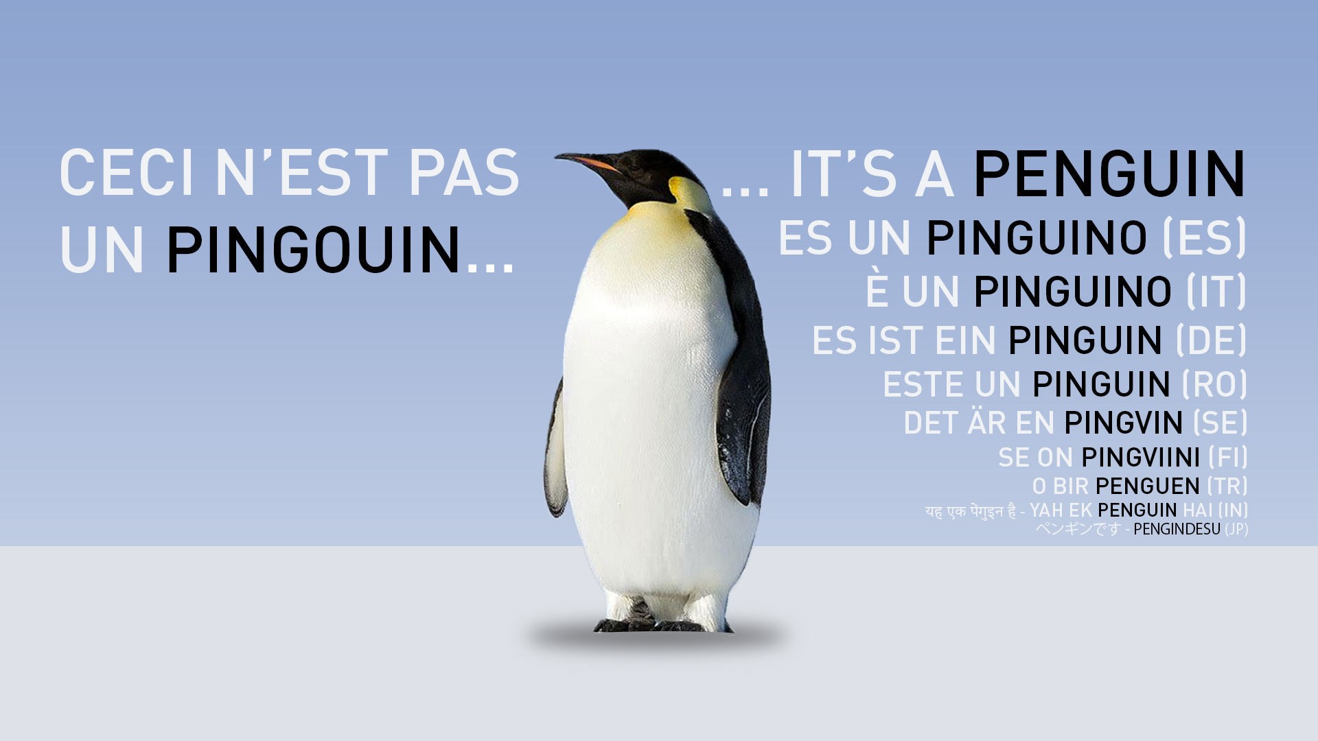 Ceci n'est pas un pingouin, c'est un manchot